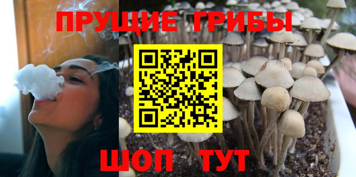 Галлюциногенные грибы MAGIC MUSHROOMS  Вход с VPN  Галлюциногенные грибы прущие грибы  где купить   Протвино 